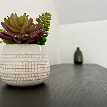 Au Rythme Des Saisons - 364 * Rouen